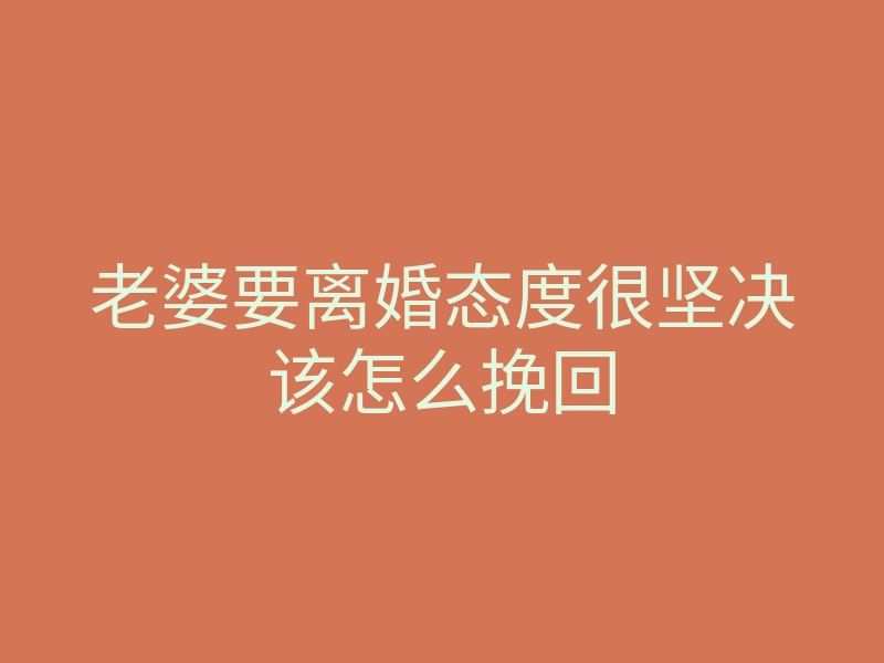 老婆要离婚态度很坚决该怎么挽回