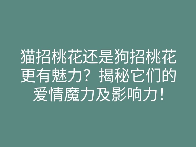 猫招桃花还是狗招桃花更有魅力?揭秘它们的爱情魔力及影响力!