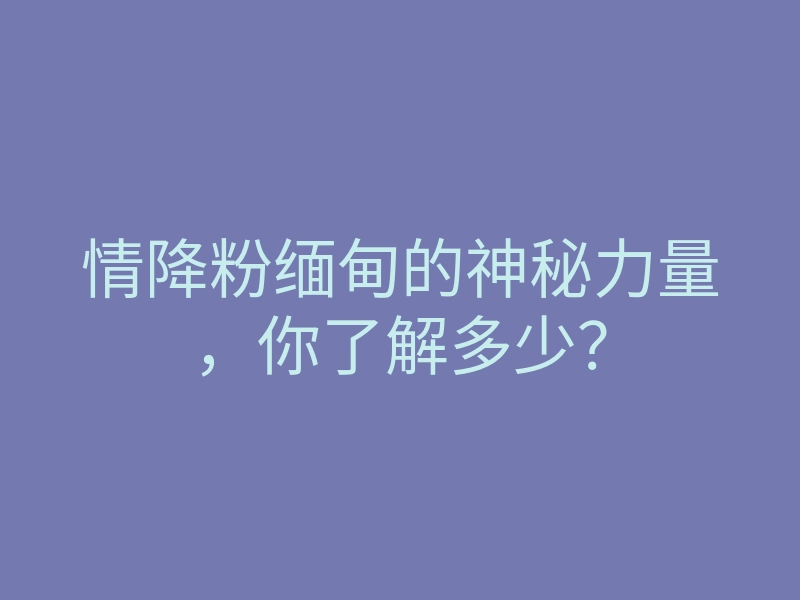 情降粉缅甸的神秘力量,你了解多少?