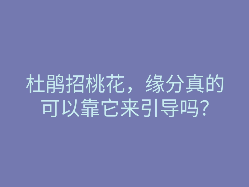 杜鹃招桃花,缘分真的可以靠它来引导吗?