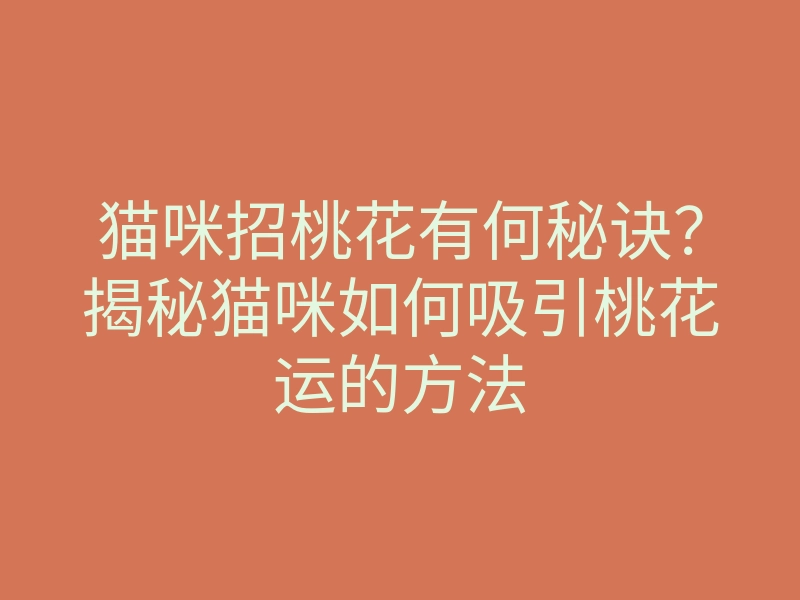 猫咪招桃花有何秘诀?揭秘猫咪如何吸引桃花运的方法