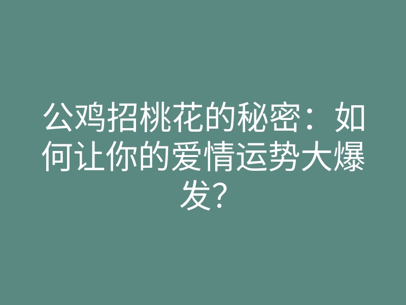 公鸡招桃花的秘密:如何让你的爱情运势大爆发?