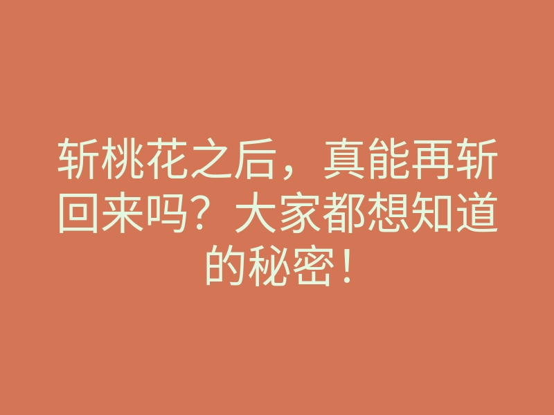 斩桃花之后,真能再斩回来吗?大家都想知道的秘密!