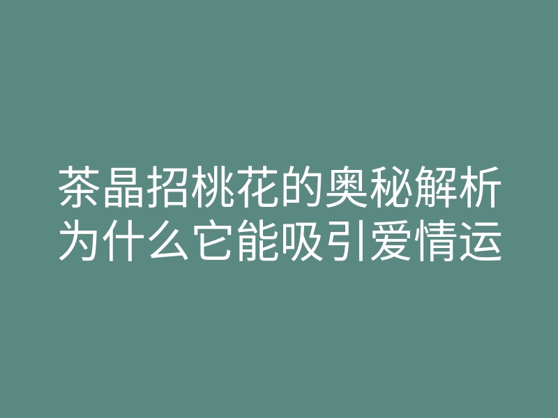 茶晶招桃花的奥秘解析为什么它能吸引爱情运