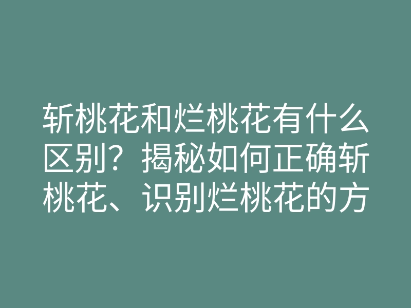 斩桃花和烂桃花有什么区别?揭秘如何正确斩桃花、识别烂桃花的方法