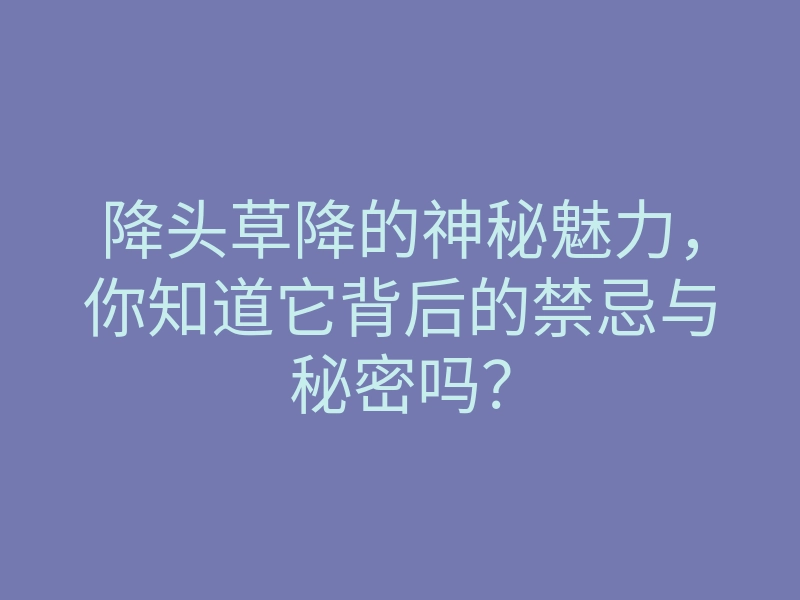 降头草降的神秘魅力,你知道它背后的禁忌与秘密吗?