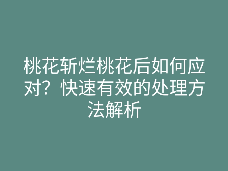 桃花斩烂桃花后如何应对?快速有效的处理方法解析