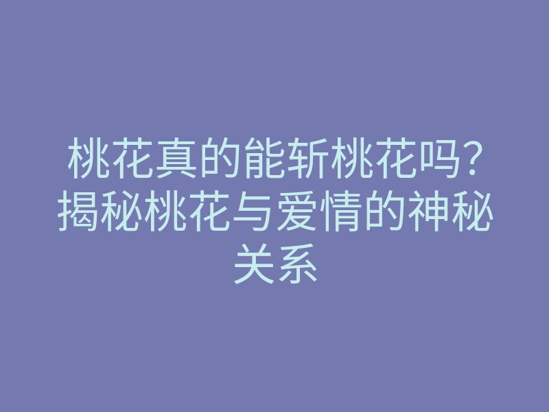 桃花真的能斩桃花吗?揭秘桃花与爱情的神秘关系