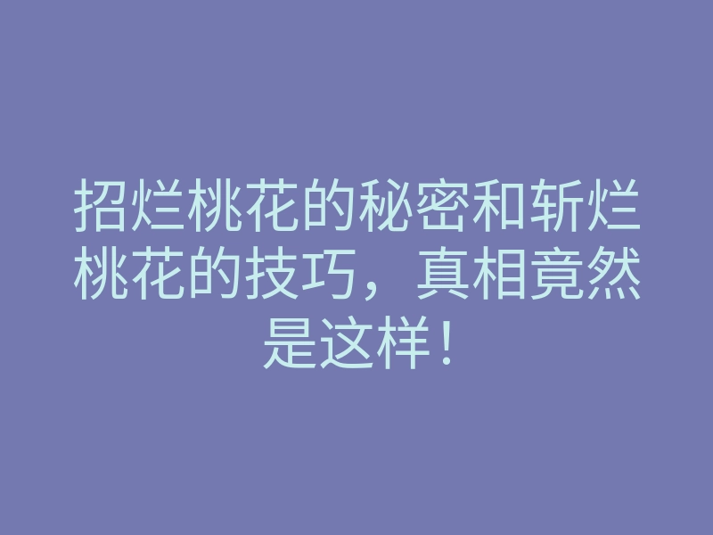 招烂桃花的秘密和斩烂桃花的技巧,真相竟然是这样!