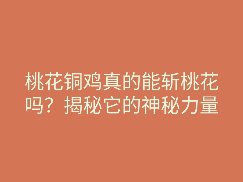 桃花铜鸡真的能斩桃花吗？揭秘它的神秘力量