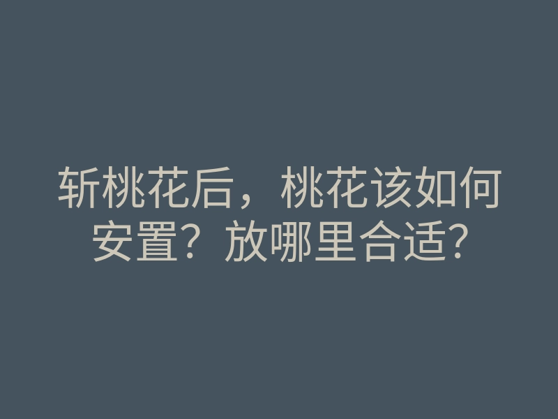 斩桃花后,桃花该如何安置?放哪里合适?