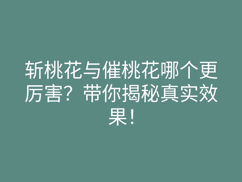 斩桃花与催桃花哪个更厉害?带你揭秘真实效果!