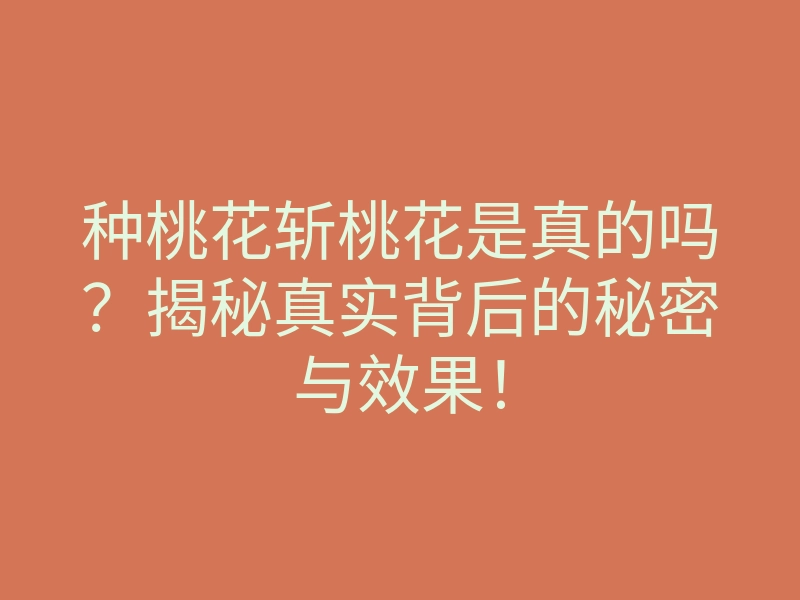 种桃花斩桃花是真的吗?揭秘真实背后的秘密与效果!