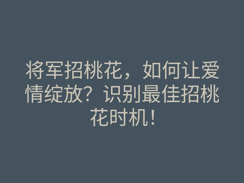 将军招桃花,如何让爱情绽放?识别最佳招桃花时机!