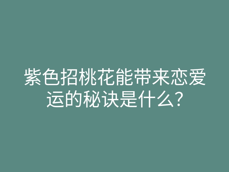 紫色招桃花能带来恋爱运的秘诀是什么?