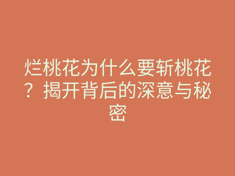 烂桃花为什么要斩桃花?揭开背后的深意与秘密