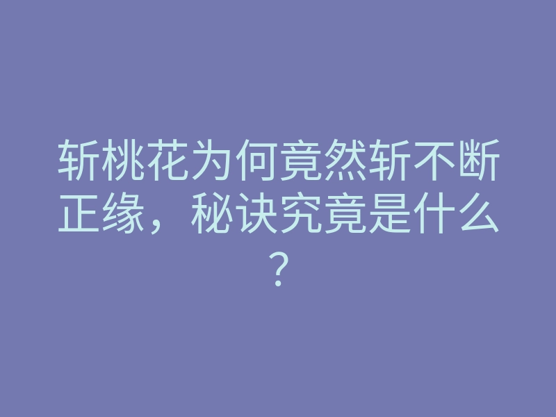 斩桃花为何竟然斩不断正缘,秘诀究竟是什么?