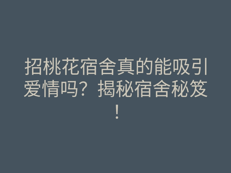 招桃花宿舍真的能吸引爱情吗?揭秘宿舍秘笈!