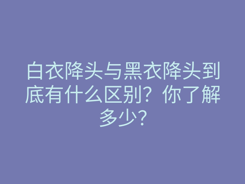 白衣降头与黑衣降头到底有什么区别？你了解多少？