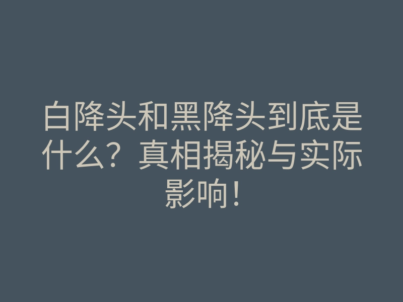 白降头和黑降头到底是什么?真相揭秘与实际影响!