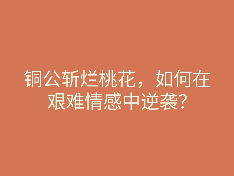 铜公斩烂桃花,如何在艰难情感中逆袭?