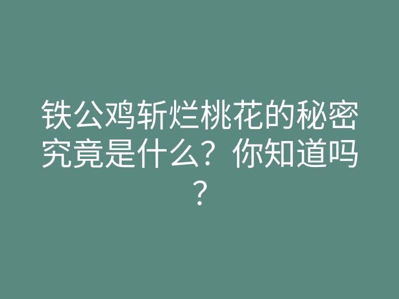 铁公鸡斩烂桃花的秘密究竟是什么？你知道吗？