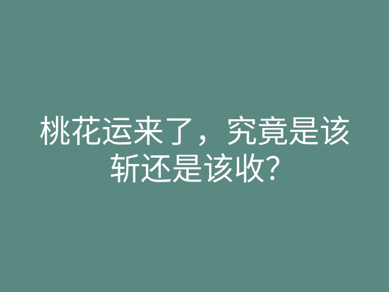 桃花运来了,究竟是该斩还是该收?