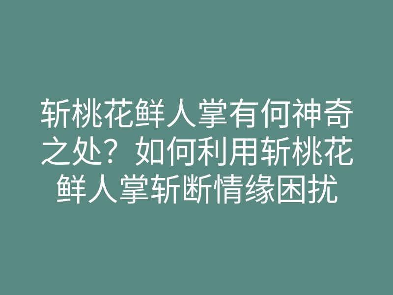 斩桃花鲜人掌有何神奇之处?如何利用斩桃花鲜人掌斩断情缘困扰