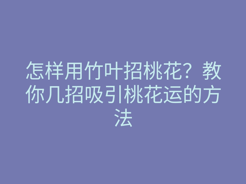 怎样用竹叶招桃花?教你几招吸引桃花运的方法