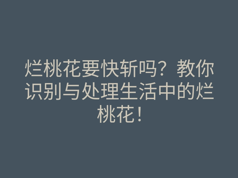 烂桃花要快斩吗?教你识别与处理生活中的烂桃花!