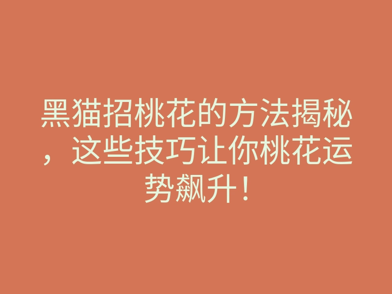 黑猫招桃花的方法揭秘,这些技巧让你桃花运势飙升!