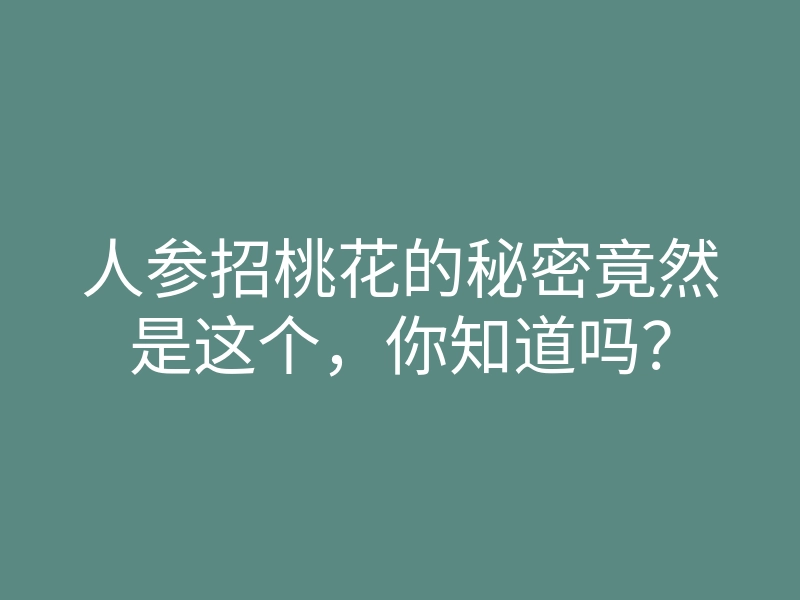 人参招桃花的秘密竟然是这个,你知道吗?