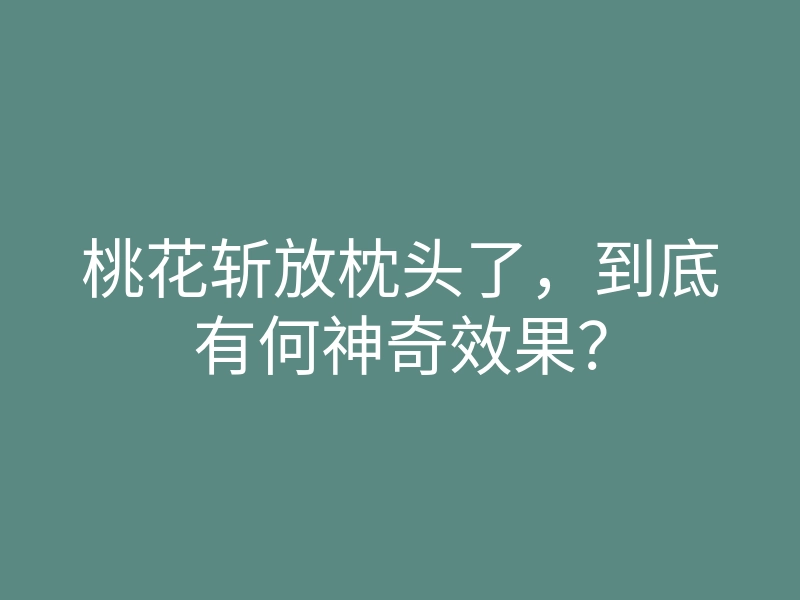 桃花斩放枕头了,到底有何神奇效果?