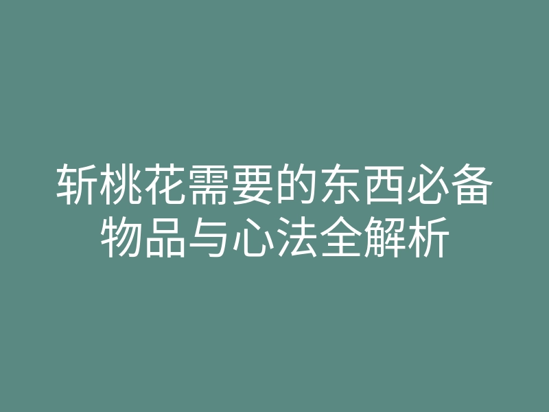 斩桃花需要的东西必备物品与心法全解析