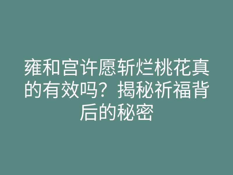 雍和宫许愿斩烂桃花真的有效吗?揭秘祈福背后的秘密