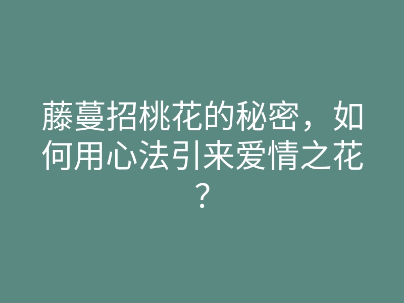 藤蔓招桃花的秘密,如何用心法引来爱情之花?