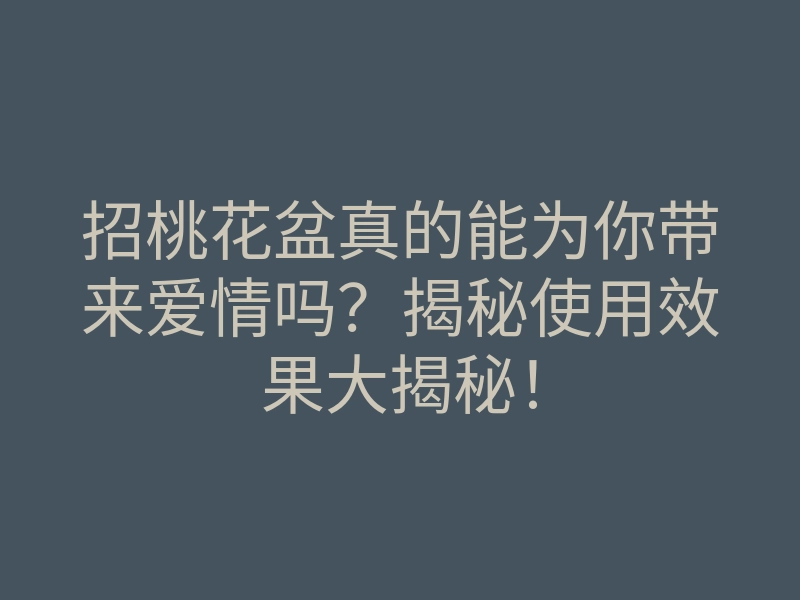 招桃花盆真的能为你带来爱情吗?揭秘使用效果大揭秘!