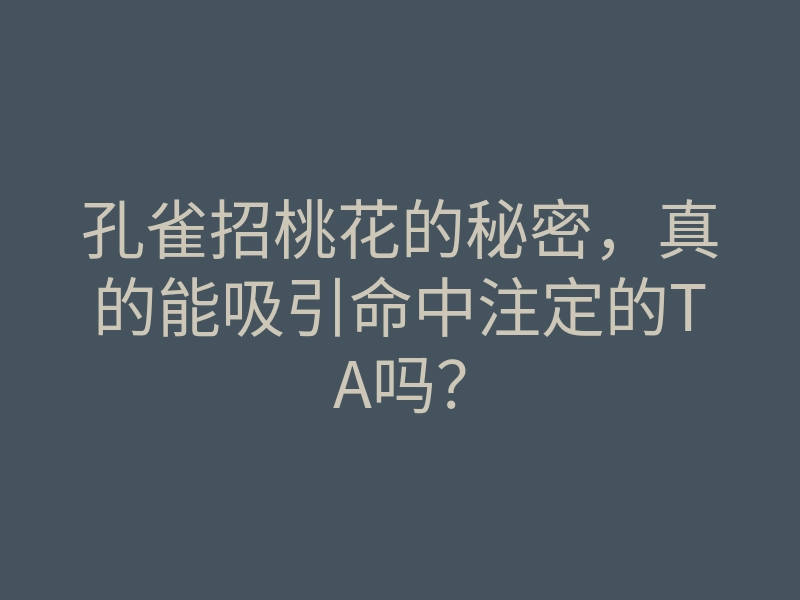 孔雀招桃花的秘密,真的能吸引命中注定的TA吗?