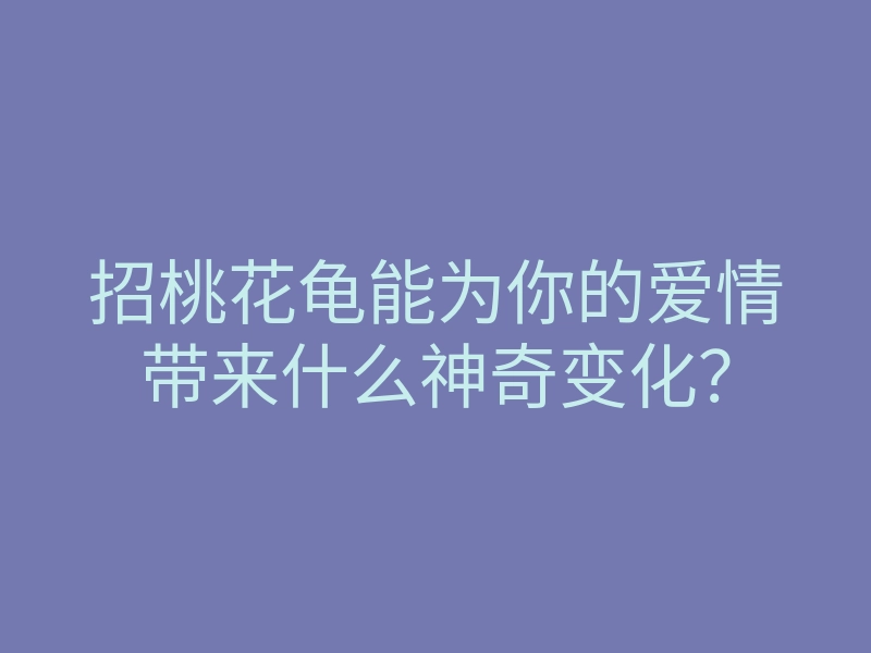 招桃花龟能为你的爱情带来什么神奇变化?