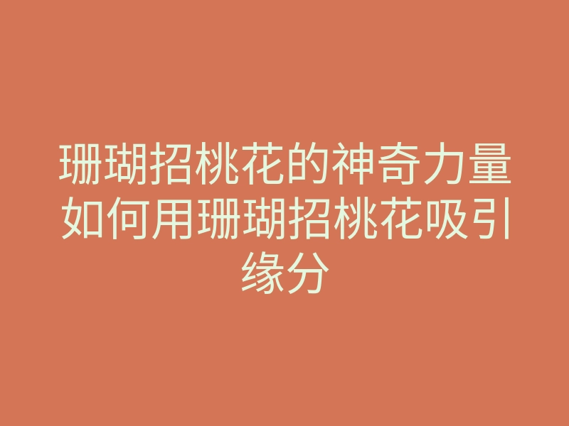 珊瑚招桃花的神奇力量如何用珊瑚招桃花吸引缘分