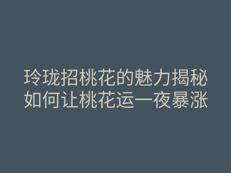 玲珑招桃花的魅力揭秘如何让桃花运一夜暴涨
