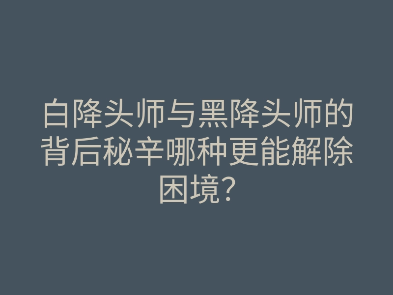 白降头师与黑降头师的背后秘辛哪种更能解除困境?