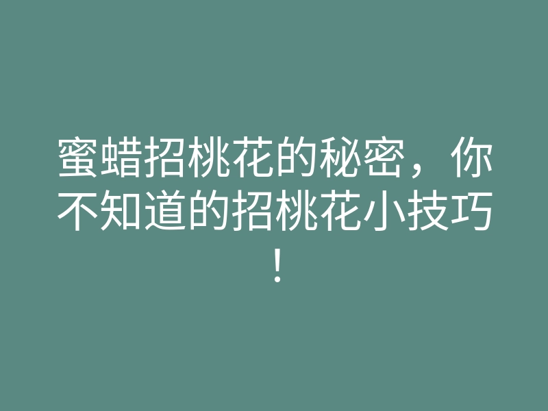 蜜蜡招桃花的秘密，你不知道的招桃花小技巧！