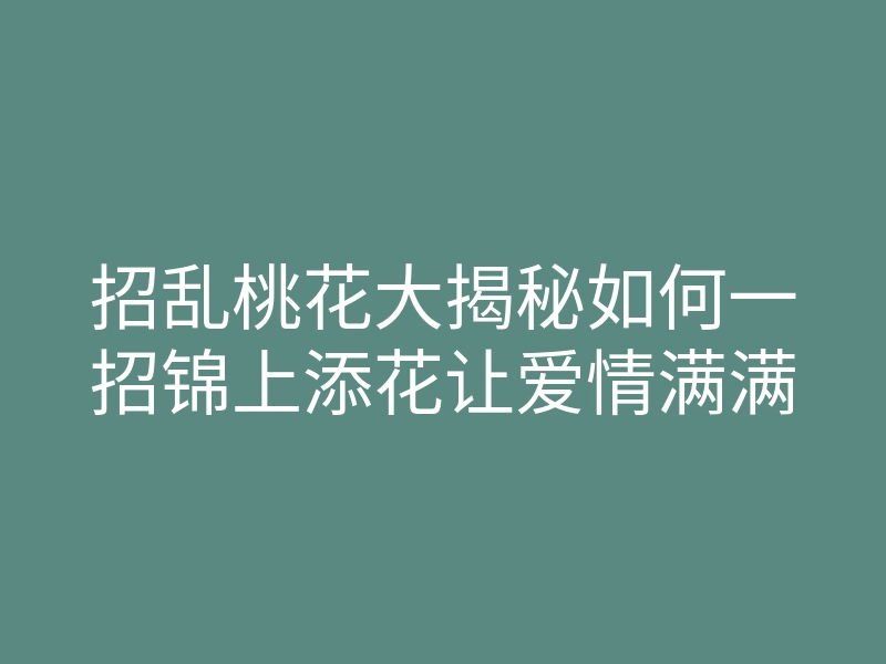 招乱桃花大揭秘如何一招锦上添花让爱情满满