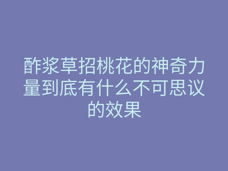 酢浆草招桃花的神奇力量到底有什么不可思议的效果