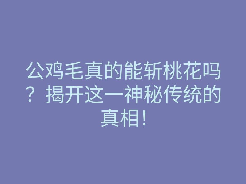 公鸡毛真的能斩桃花吗?揭开这一神秘传统的真相!