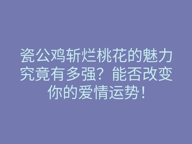 瓷公鸡斩烂桃花的魅力究竟有多强?能否改变你的爱情运势!