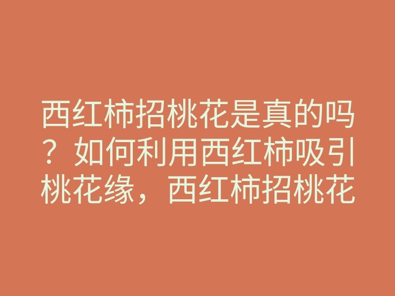 西红柿招桃花是真的吗?如何利用西红柿吸引桃花缘,西红柿招桃花方法解析