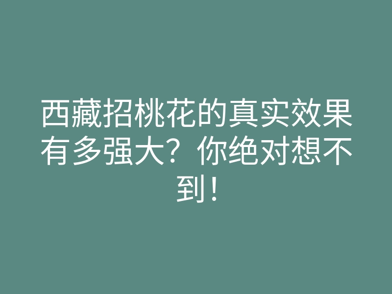 西藏招桃花的真实效果有多强大?你绝对想不到!