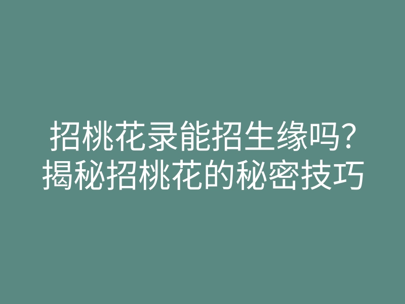 招桃花录能招生缘吗?揭秘招桃花的秘密技巧